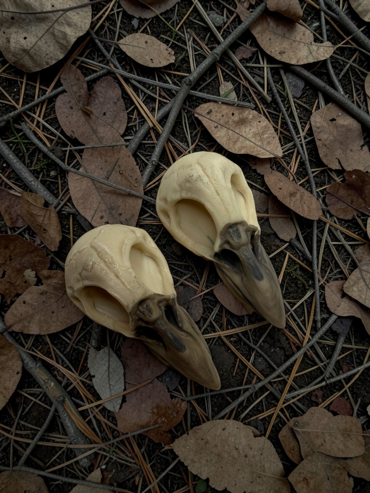 Crow Skull Hair Clip