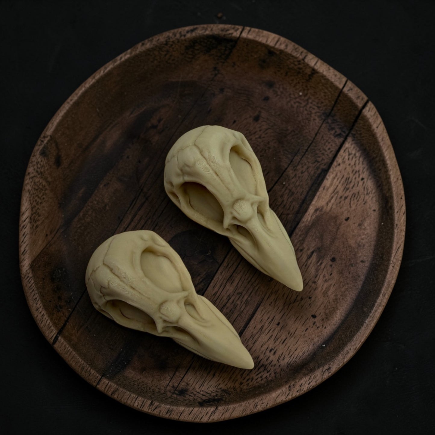 Crow Skull Hair Clip