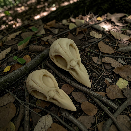 Crow Skull Hair Clip